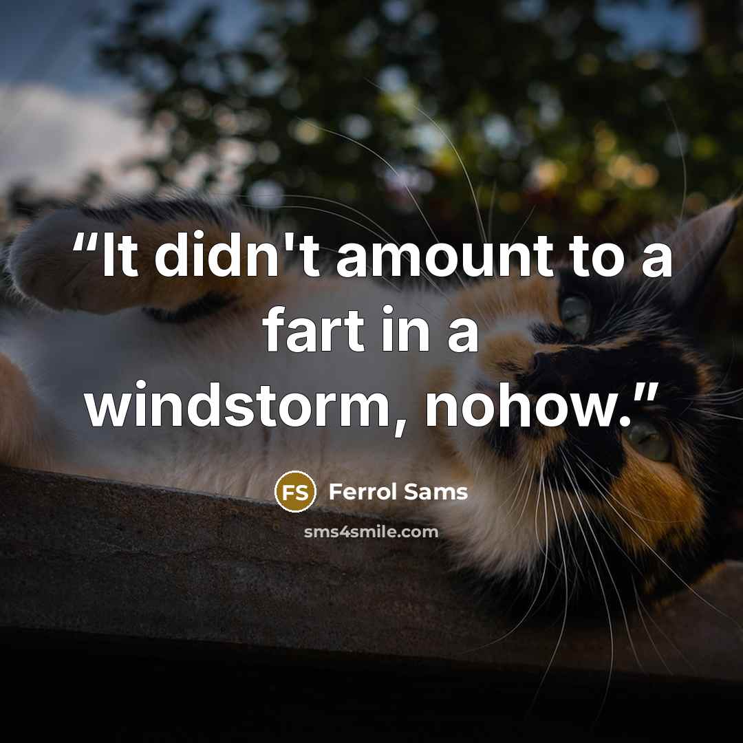 “It didn't amount to a fart in a windstorm, nohow.” quote by Ferrol Sams