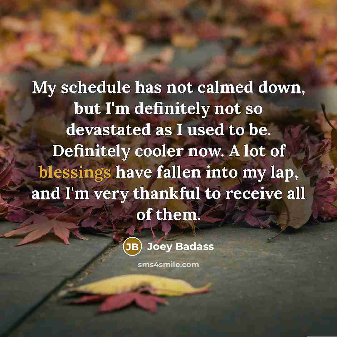“My schedule has not calmed down, but I'm definitely not…” quote by Joey Badass