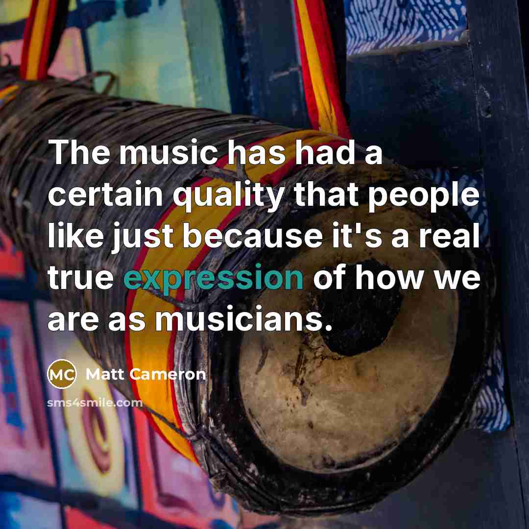 “The music has had a certain quality that people like…” quote by Matt Cameron