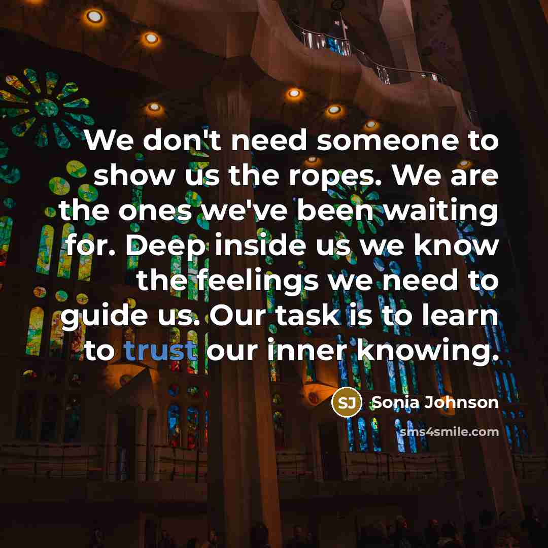 “We don't need someone to show us the ropes. We…” quote by Sonia Johnson