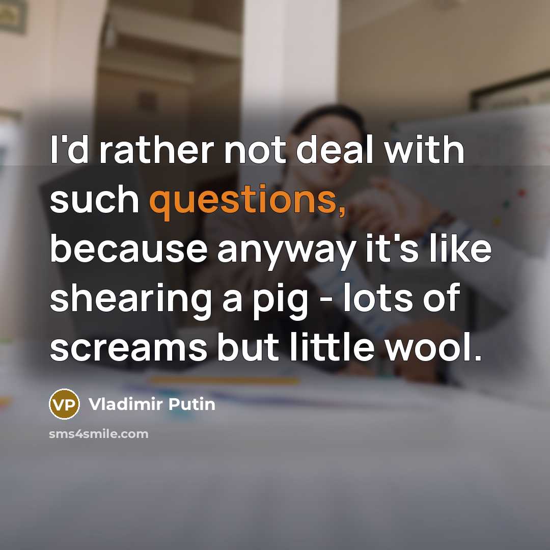 “I'd rather not deal with such questions, because anyway it's…” quote by Vladimir Putin
