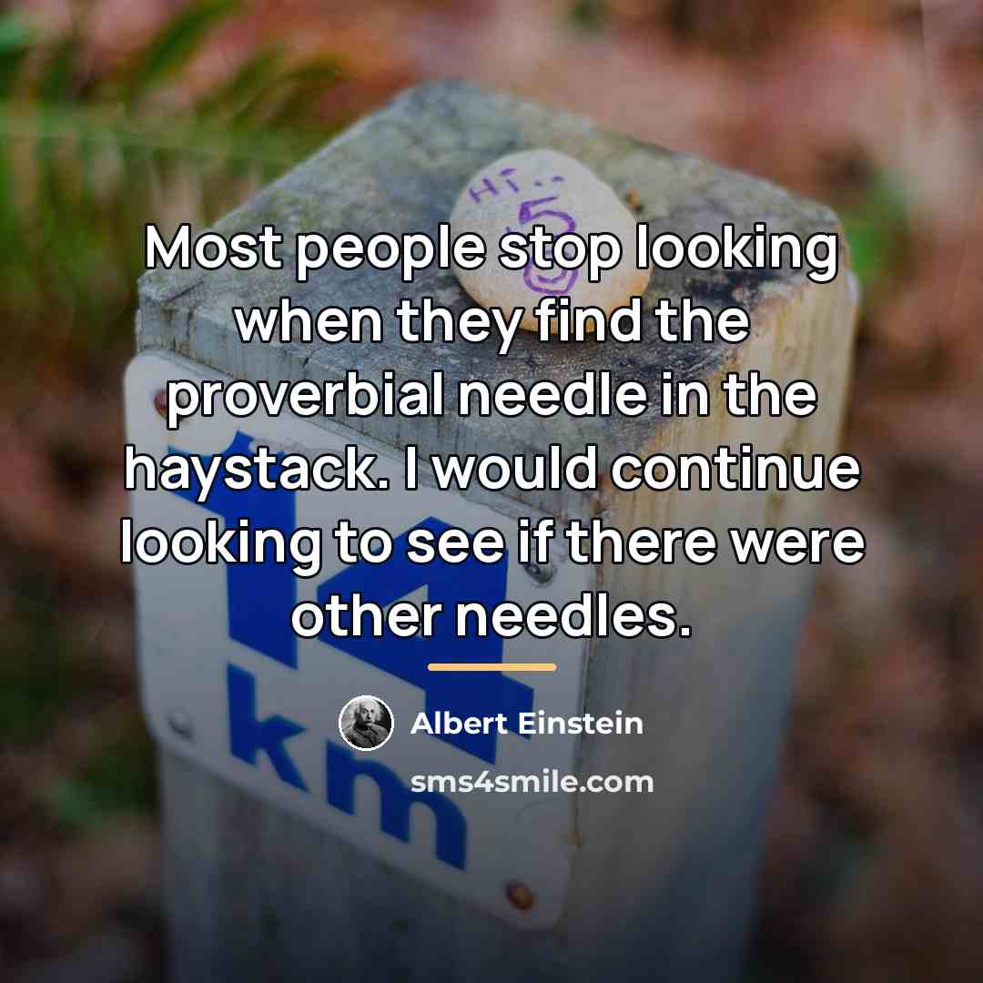 “Most people stop looking when they find the proverbial needle…” quote by Albert Einstein