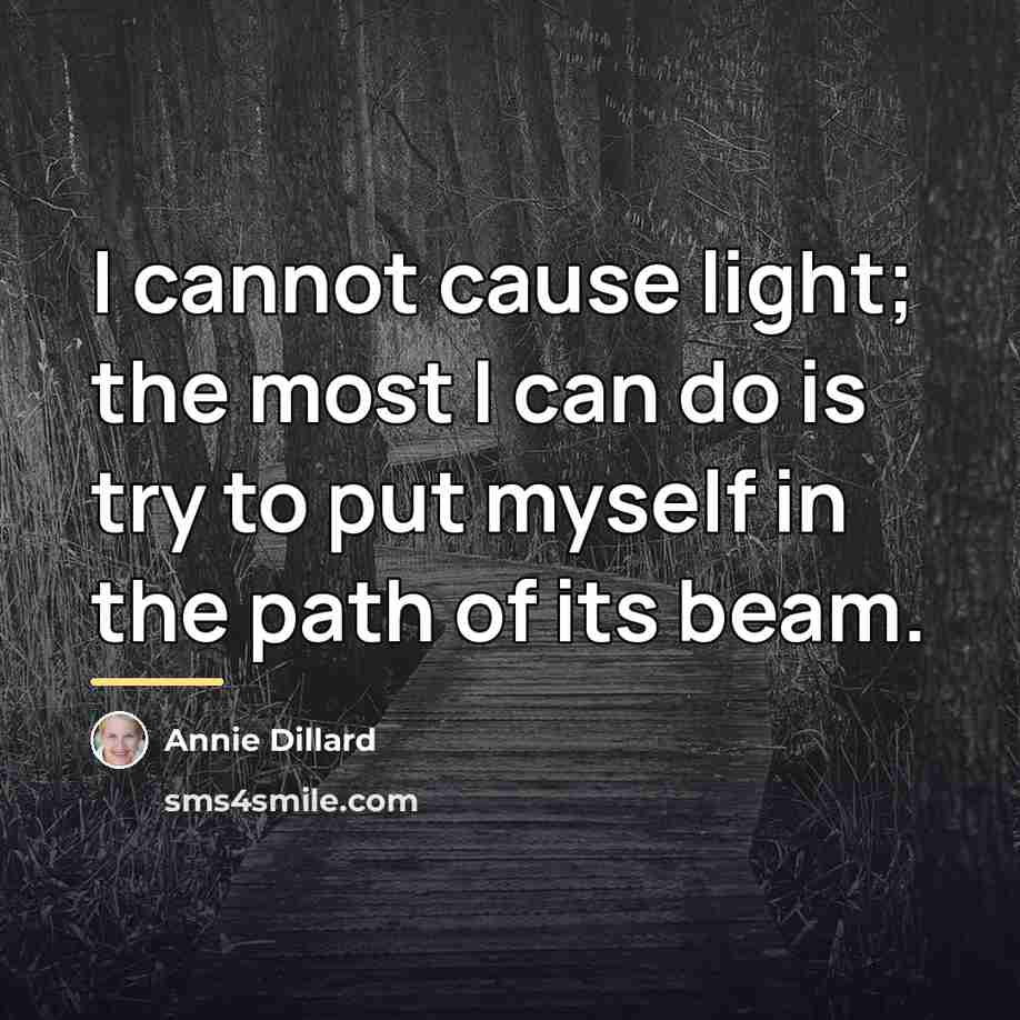 “I cannot cause light; the most I can do is…” quote by Annie Dillard