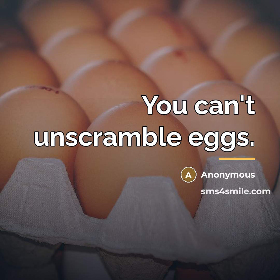 “You can't unscramble eggs.…” quote by Anonymous