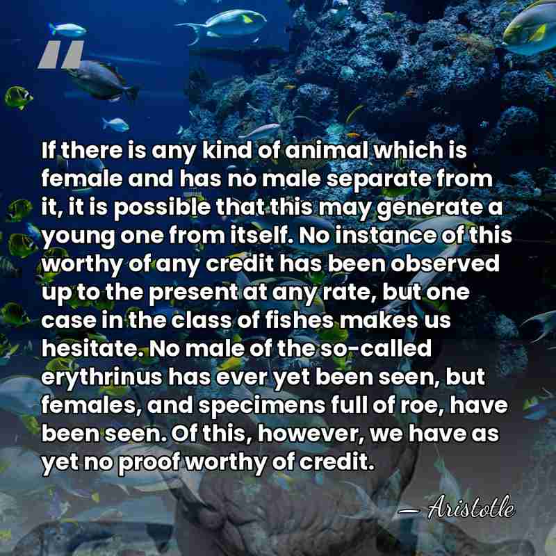 If there is any kind of animal which is female and has&hellip; - Aristotle
