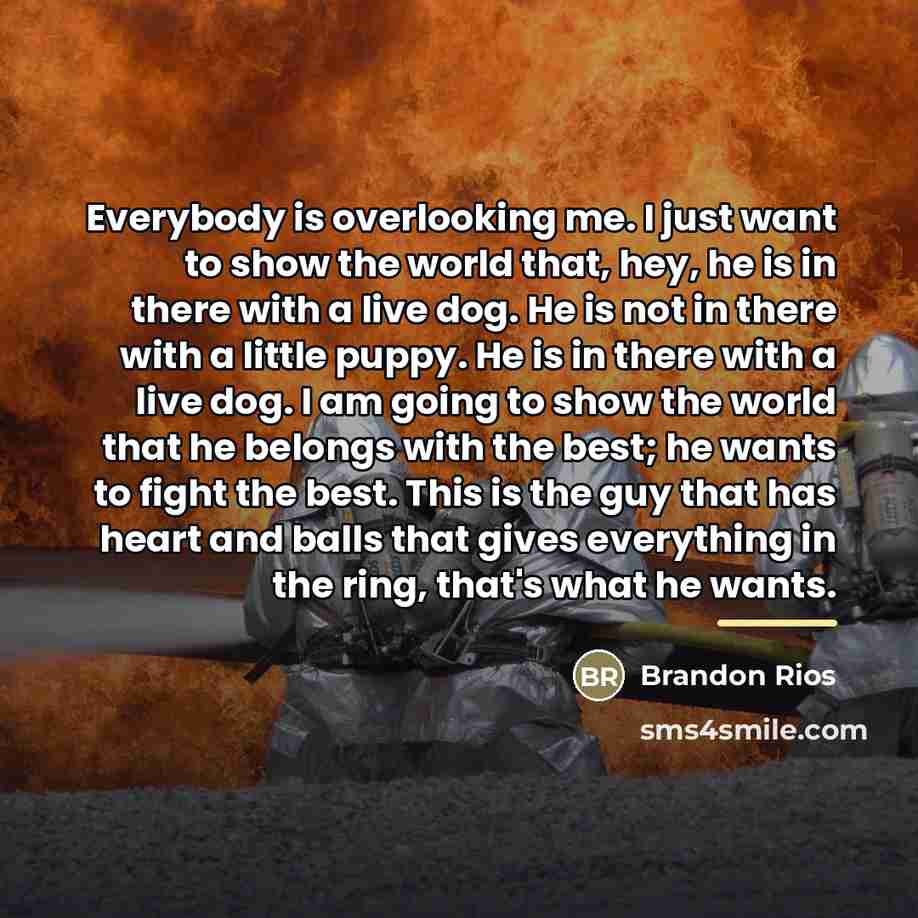 “Everybody is overlooking me. I just want to show the…” quote by Brandon Rios