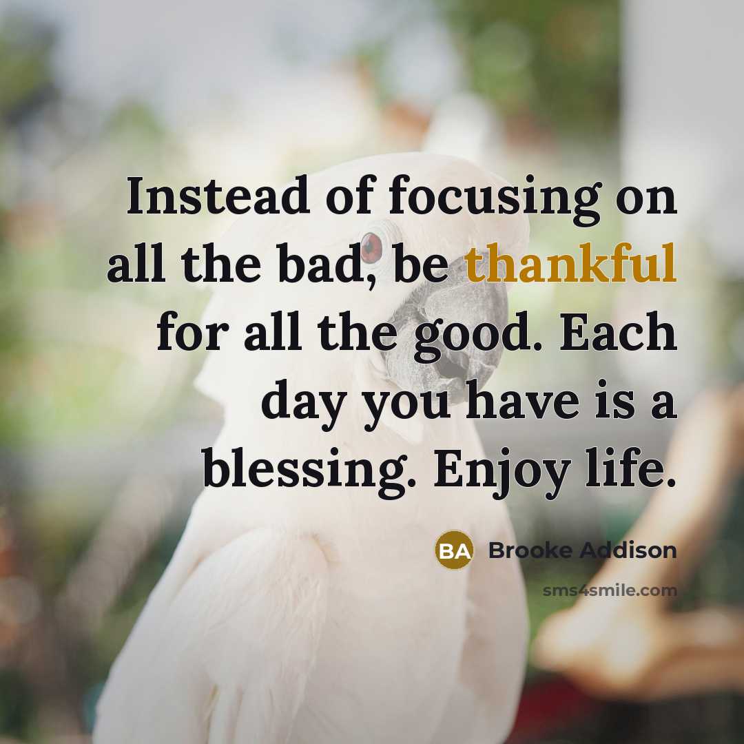 “Instead of focusing on all the bad, be thankful for…” quote by Brooke Addison