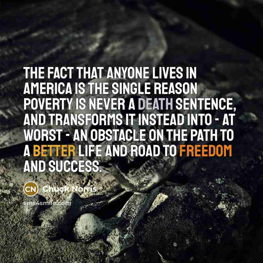 “The fact that anyone lives in America is the single…” quote by Chuck Norris