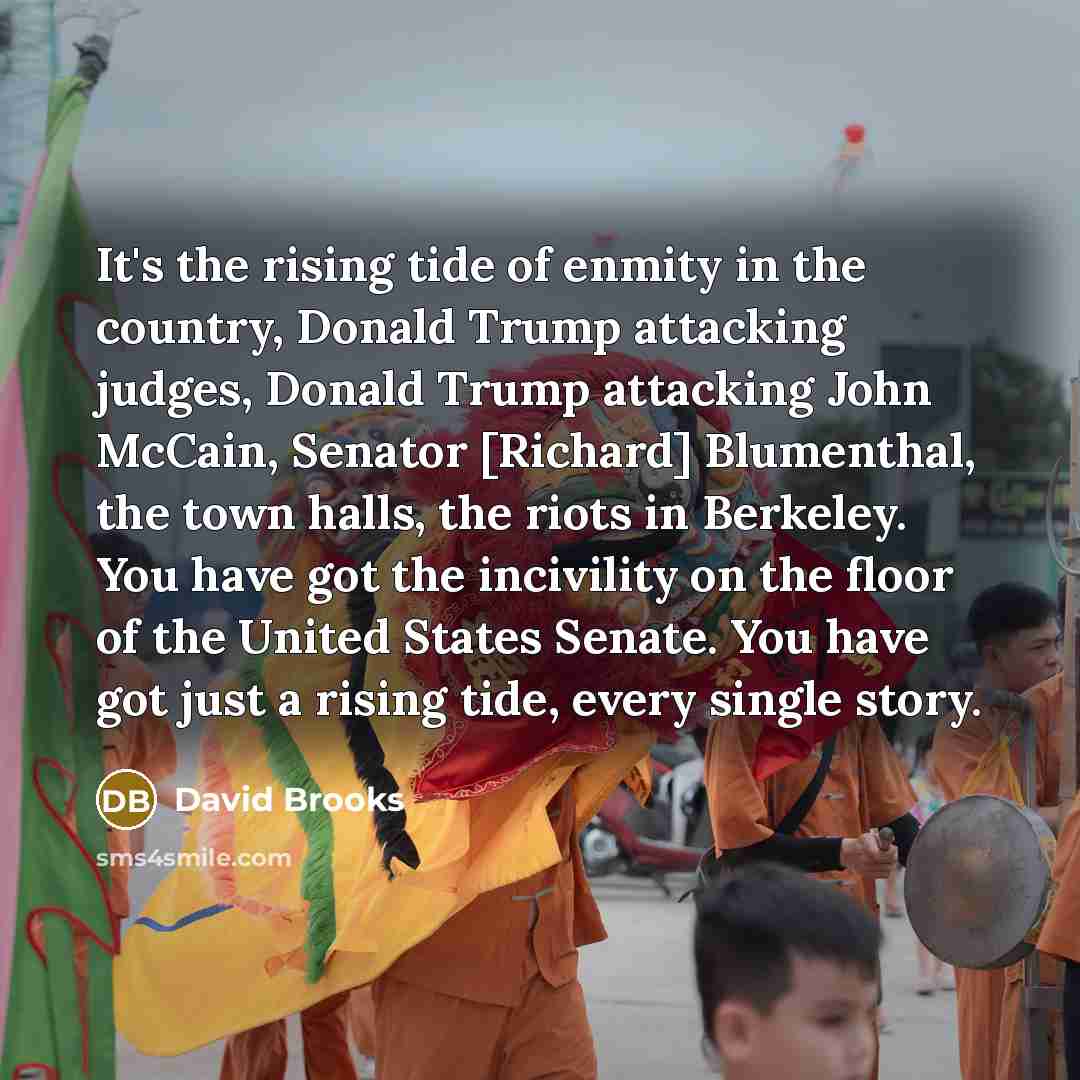 “It's the rising tide of enmity in the country, Donald…” quote by David Brooks