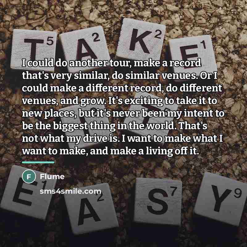 “I could do another tour, make a record that's very…” quote by Flume
