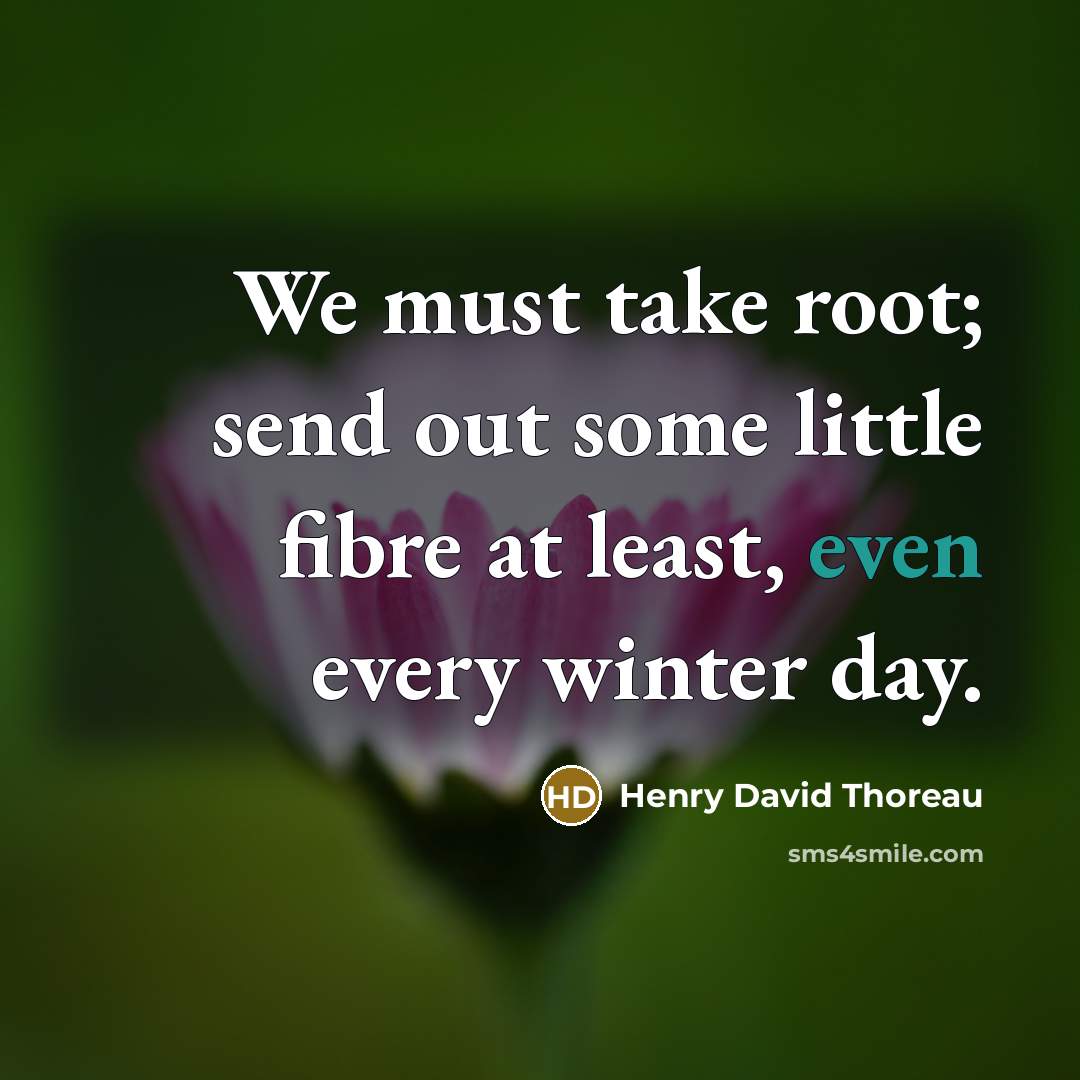 “We must take root; send out some little fibre at least, even every winter day.” quote by Henry David Thoreau
