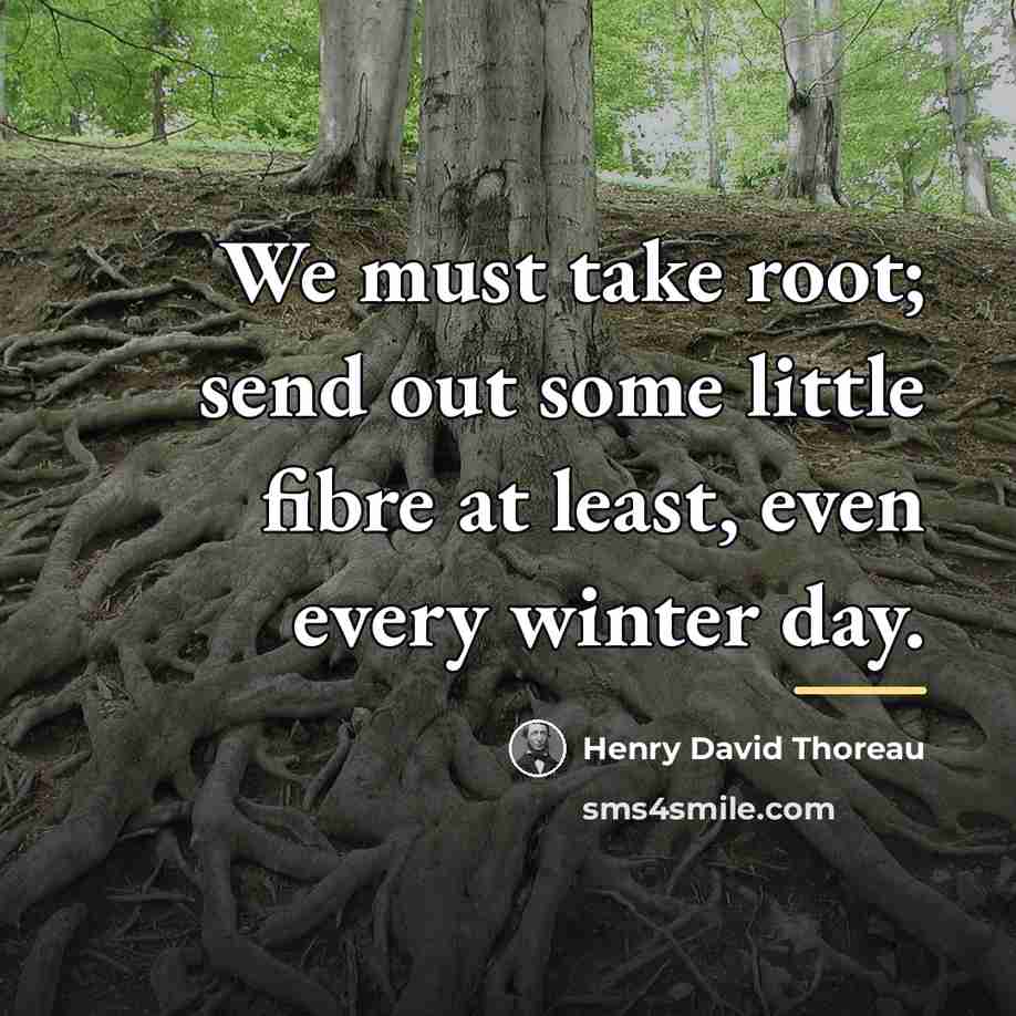 “We must take root; send out some little fibre at…” quote by Henry David Thoreau