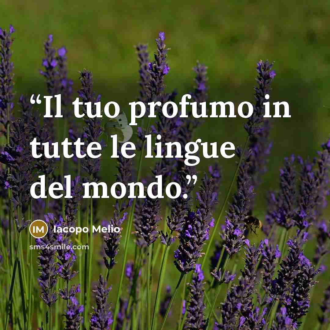 “Il tuo profumo in tutte le lingue del mondo.” quote by Iacopo Melio