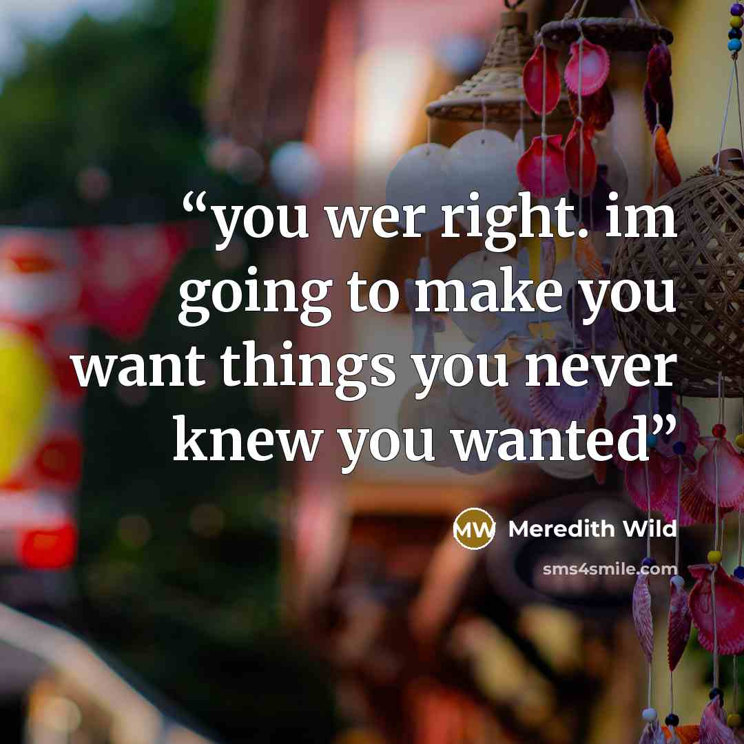 “you wer right. im going to make you want things you never knew you wanted” quote by Meredith Wild