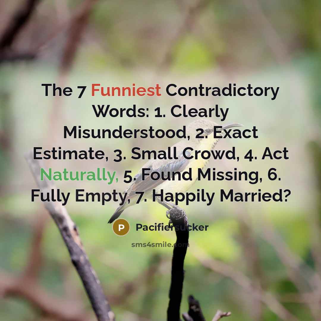 “The 7 Funniest Contradictory Words: 1. Clearly Misunderstood, 2. Exact Estimate, 3. Small Crowd, 4. Act Naturally, 5. Found Missing, 6. Fully Empty, 7. Happily Married?” quote by Pacifiersucker