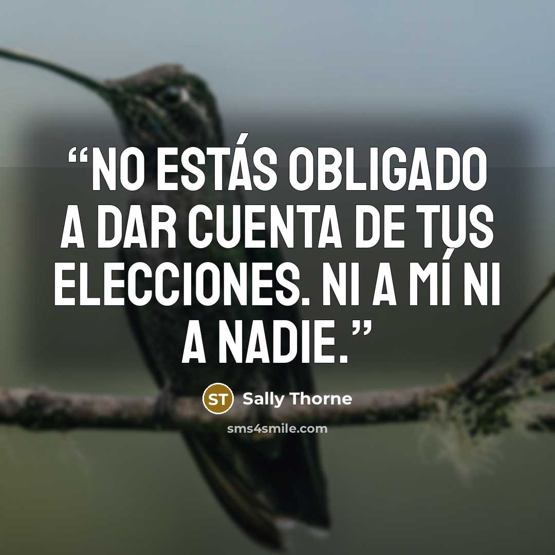 “No estás obligado a dar cuenta de tus elecciones. Ni a mí ni a nadie.” quote by Sally Thorne