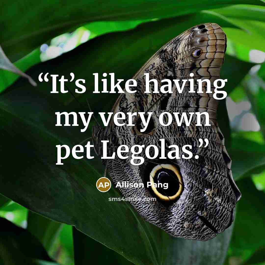 “It’s like having my very own pet Legolas.” quote by Allison Pang