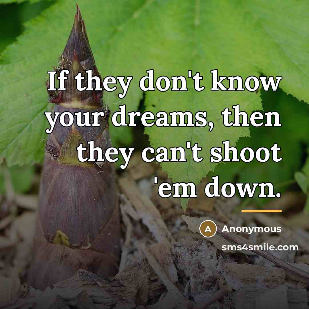 “If they don't know your dreams, then they can't shoot…” quote by Anonymous