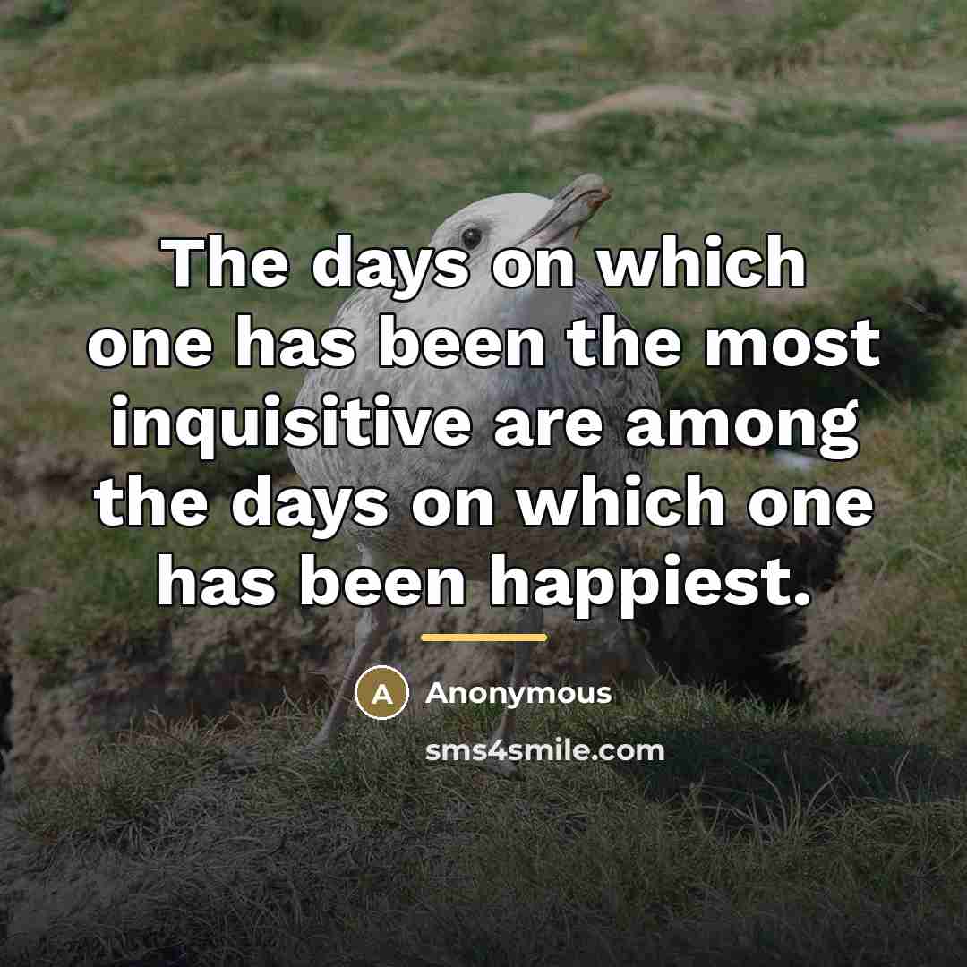“The days on which one has been the most inquisitive…” quote by Anonymous