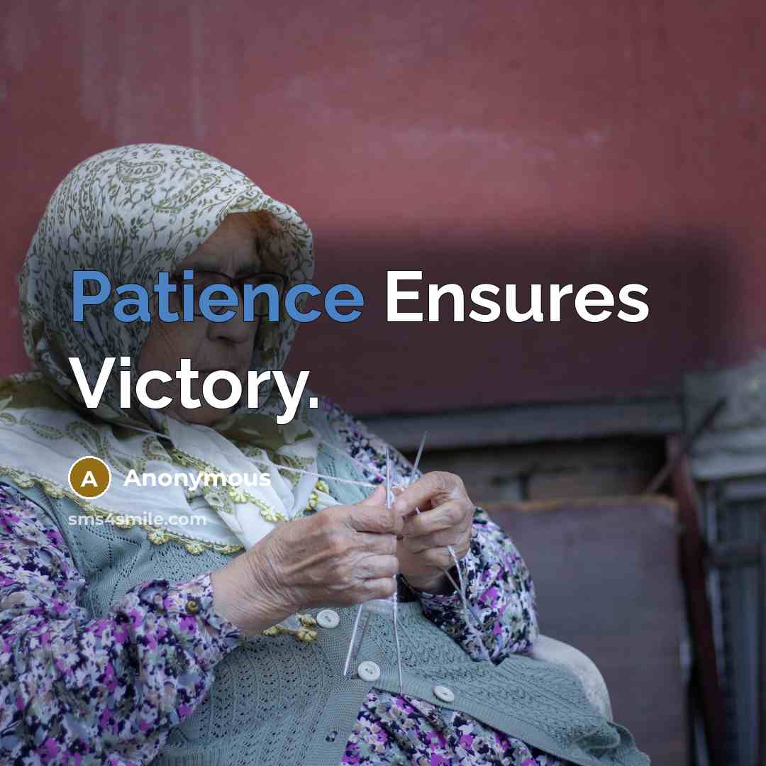“Patience Ensures Victory.…” quote by Anonymous