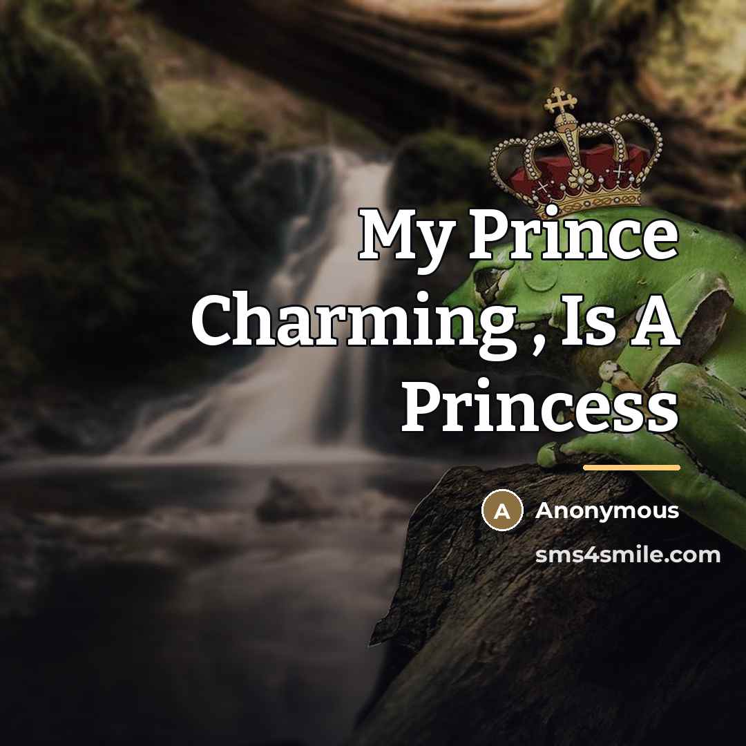 “My Prince Charming , Is A Princess…” quote by Anonymous