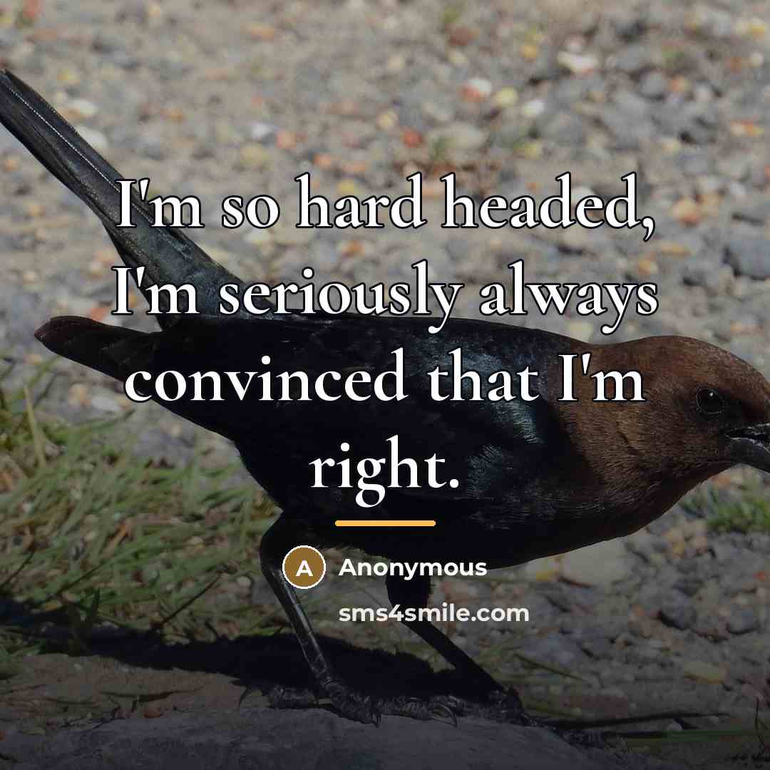 “I'm so hard headed, I'm seriously always convinced that I'm…” quote by Anonymous