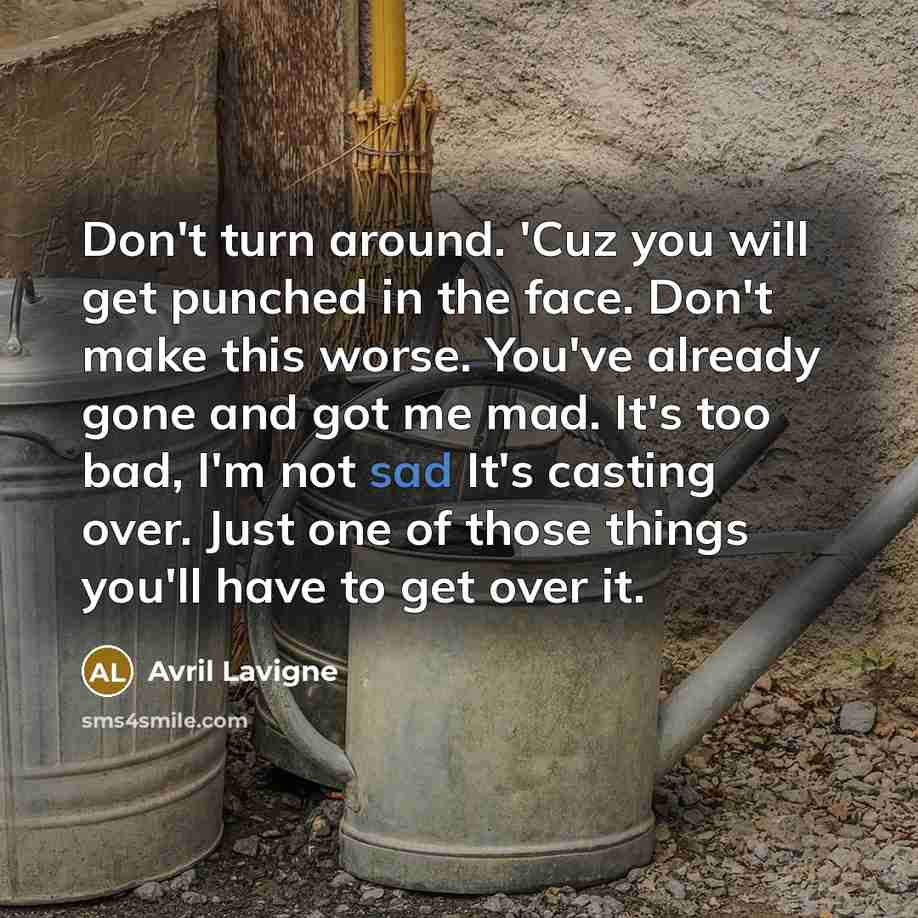 “Don't turn around. 'Cuz you will get punched in the…” quote by Avril Lavigne