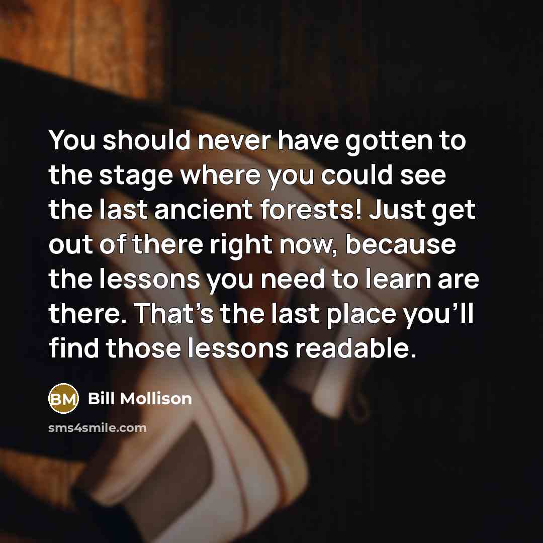 “You should never have gotten to the stage where you…” quote by Bill Mollison