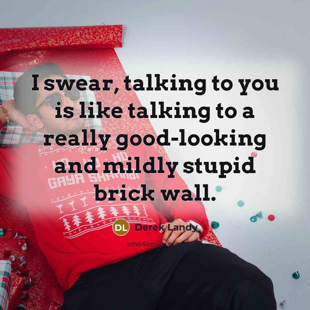 “I swear, talking to you is like talking to a…” quote by Derek Landy