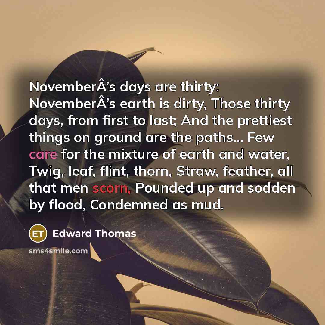 “NovemberÂ’s days are thirty: NovemberÂ’s earth is dirty, Those thirty…” quote by Edward Thomas