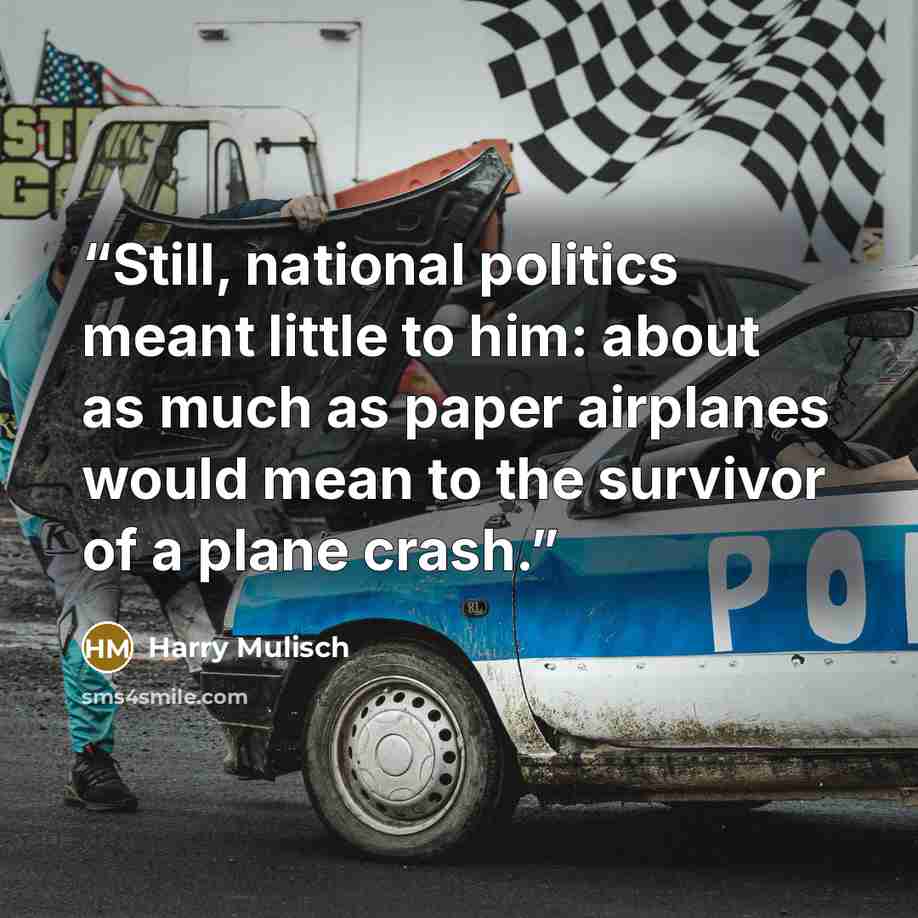 “Still, national politics meant little to him: about as much as paper airplanes would mean to the survivor of a plane crash.” quote by Harry Mulisch