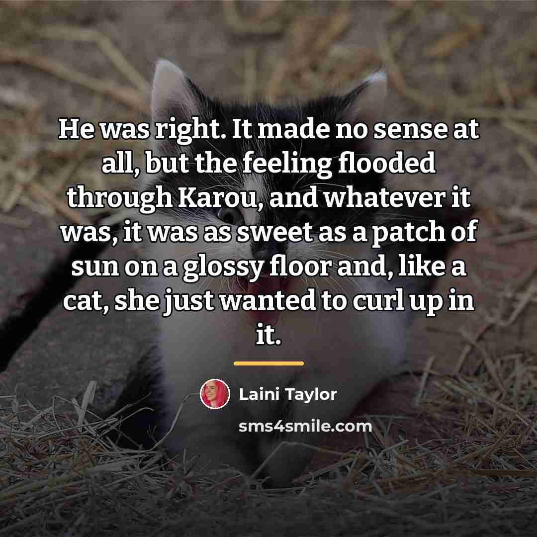 “He was right. It made no sense at all, but…” quote by Laini Taylor