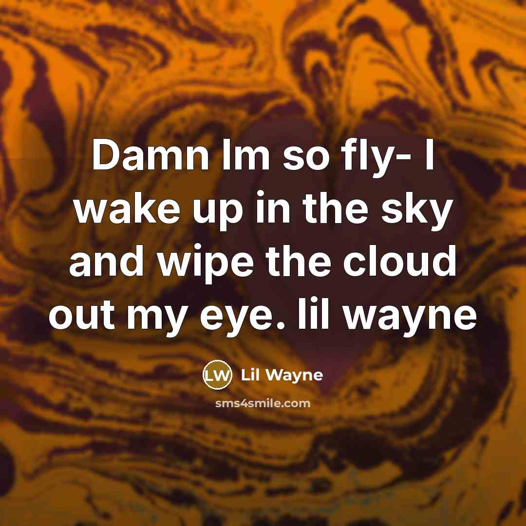 “Damn Im so fly- I wake up in the sky and wipe the cloud out my eye. lil wayne” quote by Lil Wayne