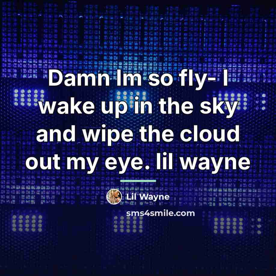 “Damn Im so fly- I wake up in the sky…” quote by Lil Wayne