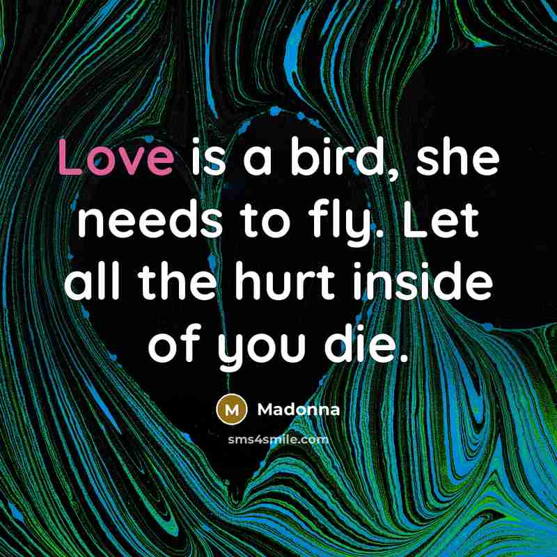 “Love is a bird, she needs to fly. Let all…” quote by Madonna