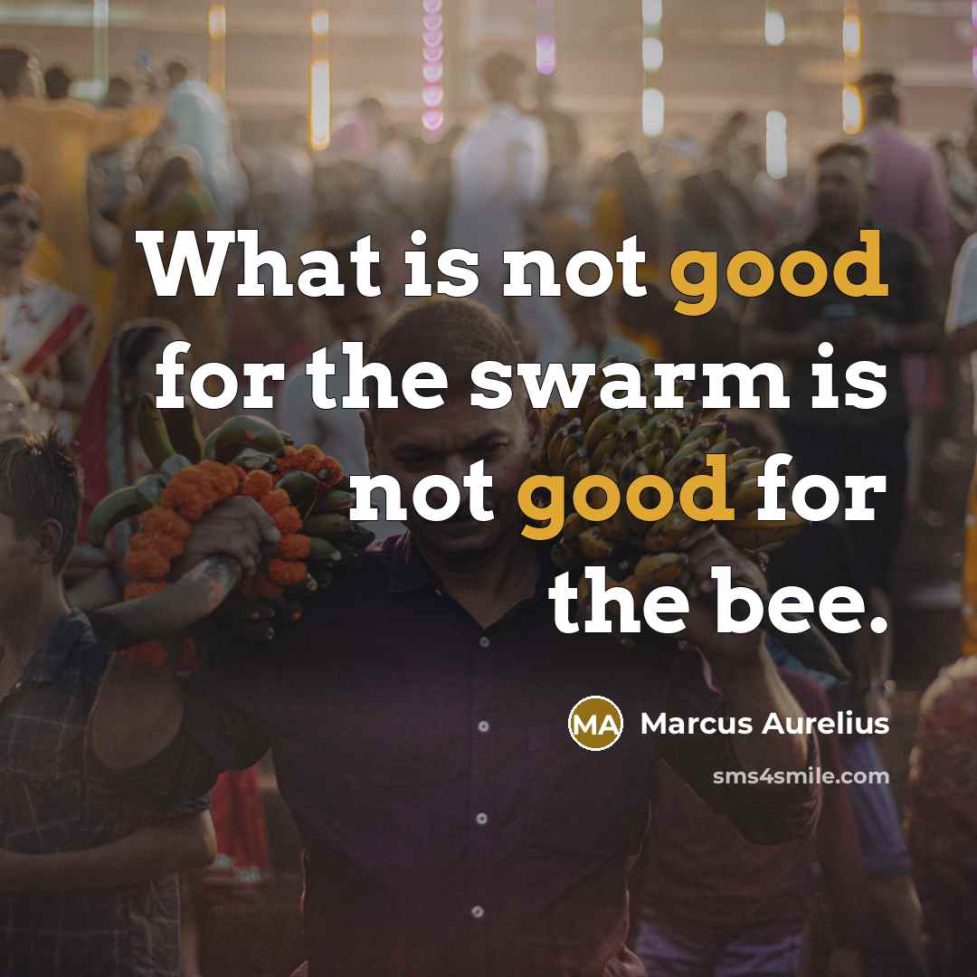 “What is not good for the swarm is not good…” quote by Marcus Aurelius