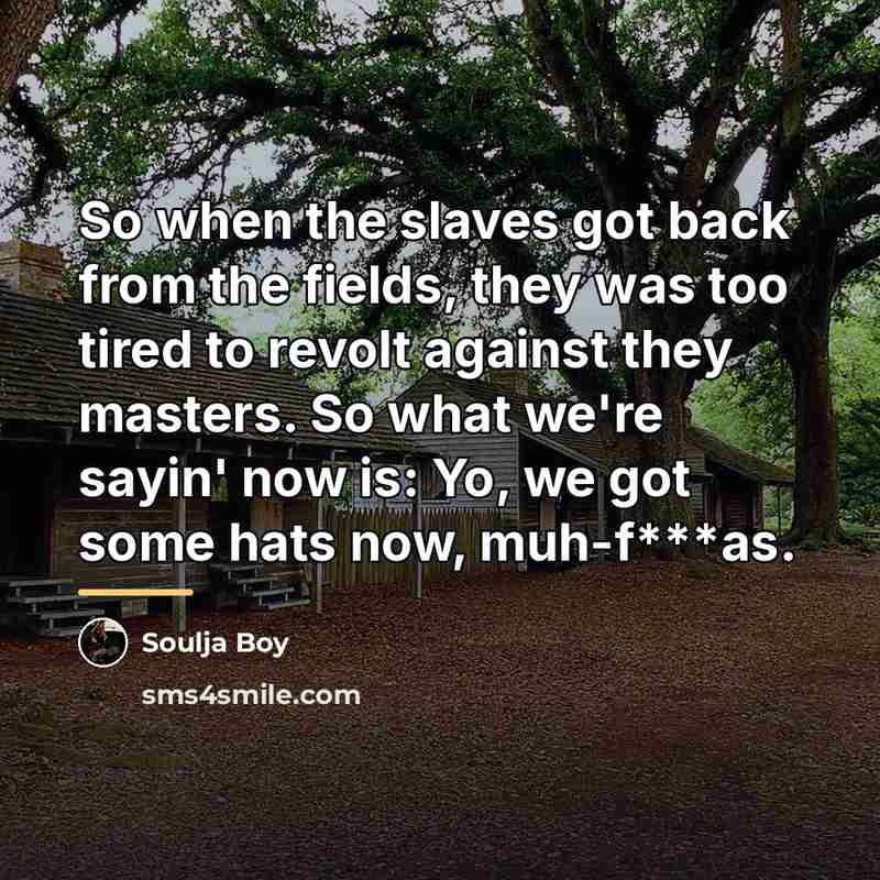 “So when the slaves got back from the fields, they…” quote by Soulja Boy