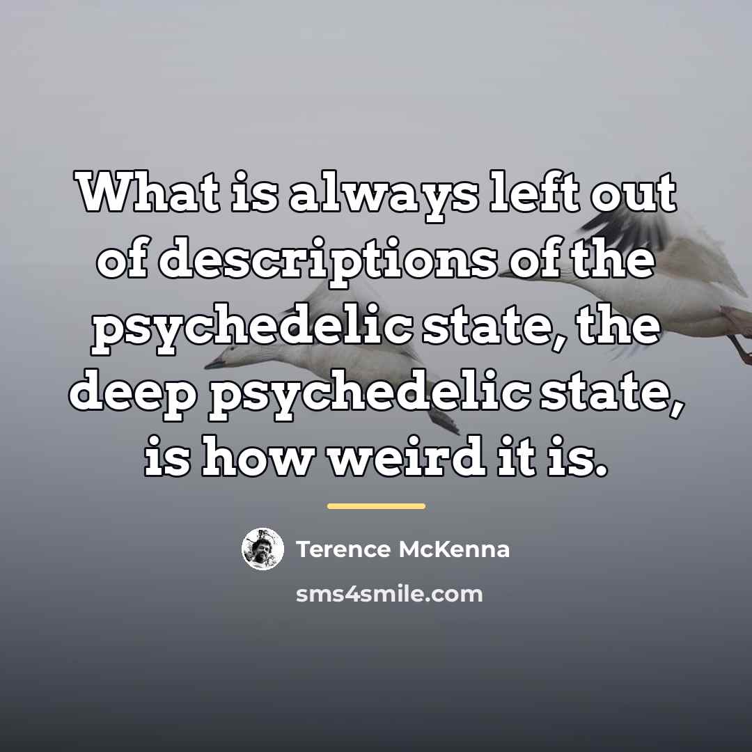“What is always left out of descriptions of the psychedelic…” quote by Terence McKenna