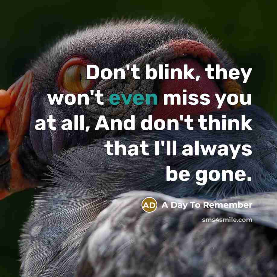 “Don't blink, they won't even miss you at all, And…” quote by A Day To Remember