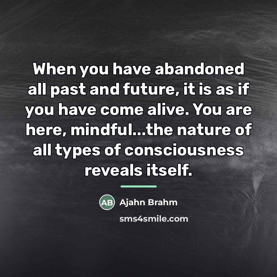 “When you have abandoned all past and future, it is…” quote by Ajahn Brahm