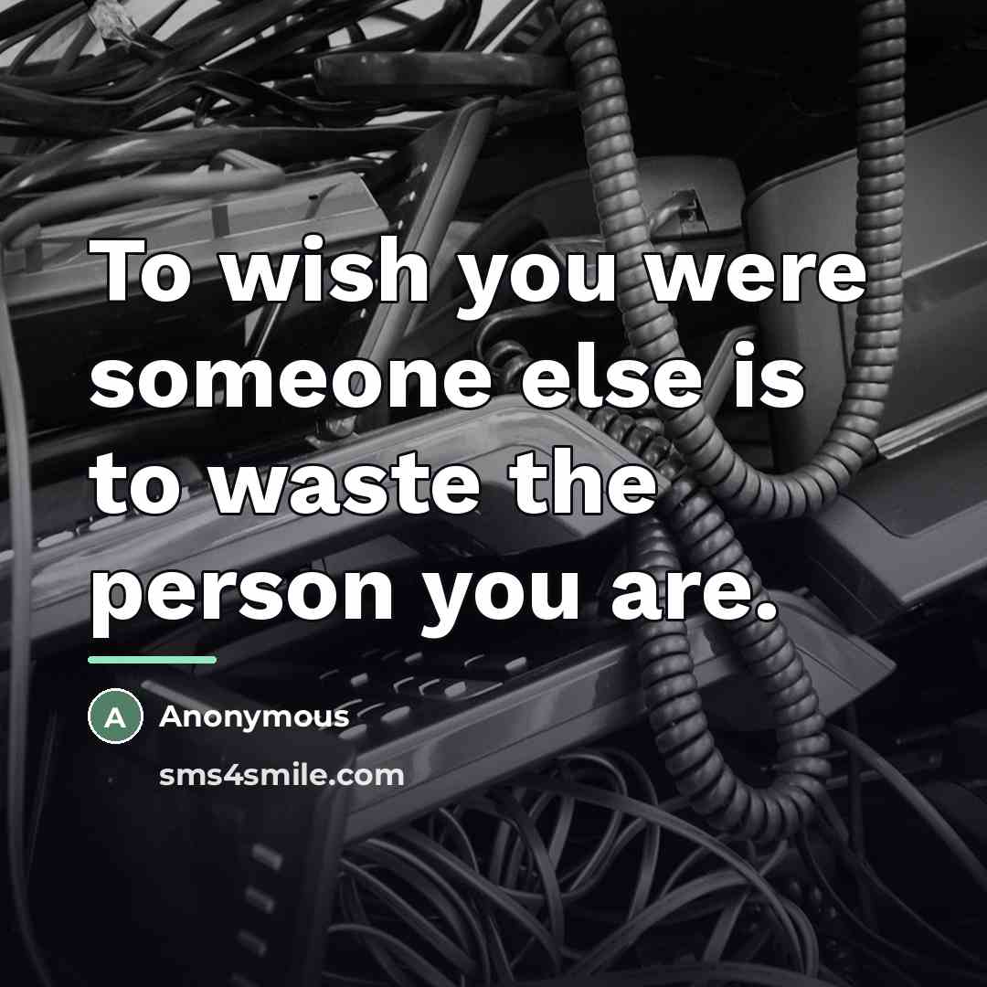 “To wish you were someone else is to waste the…” quote by Anonymous