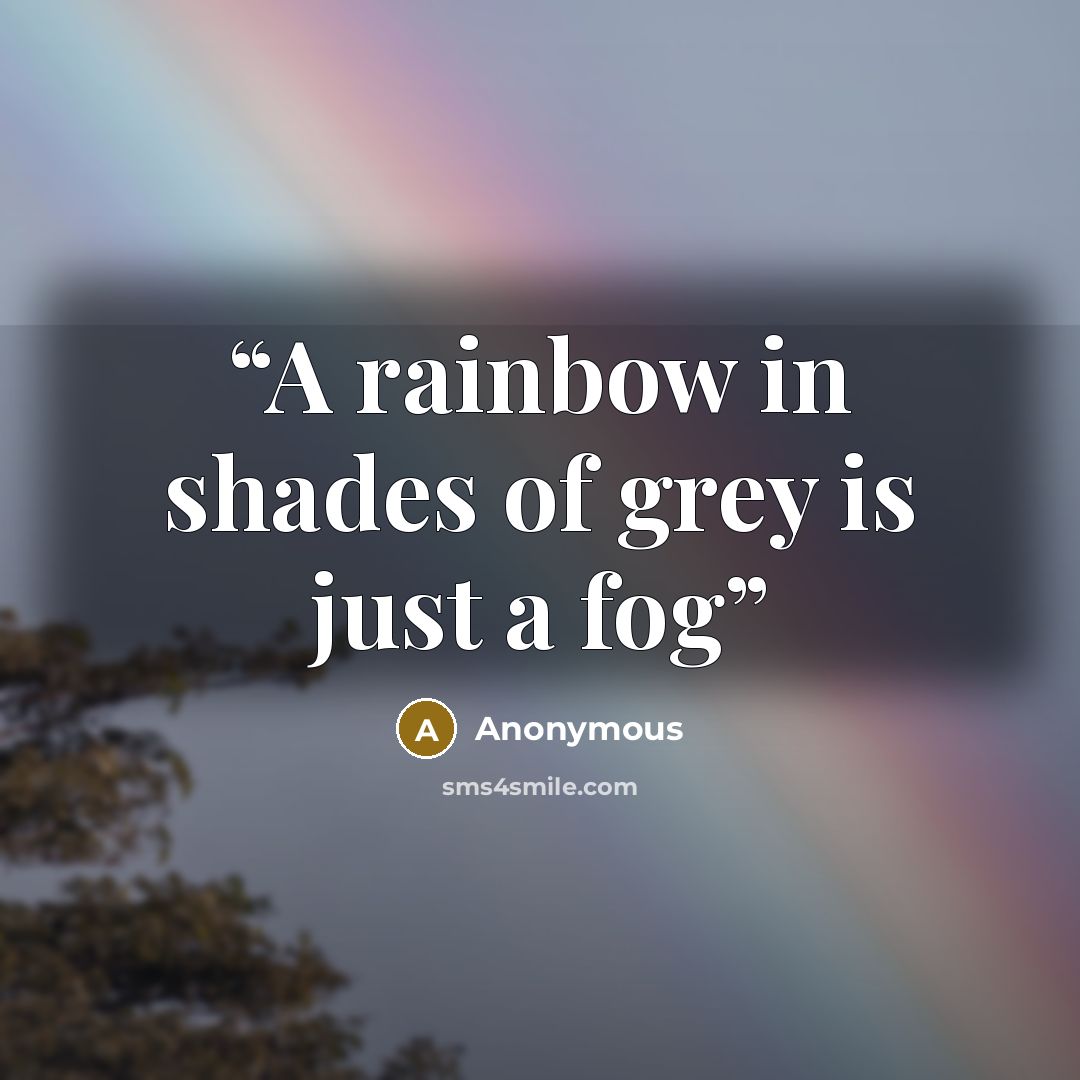 “A rainbow in shades of grey is just a fog” quote by Anonymous