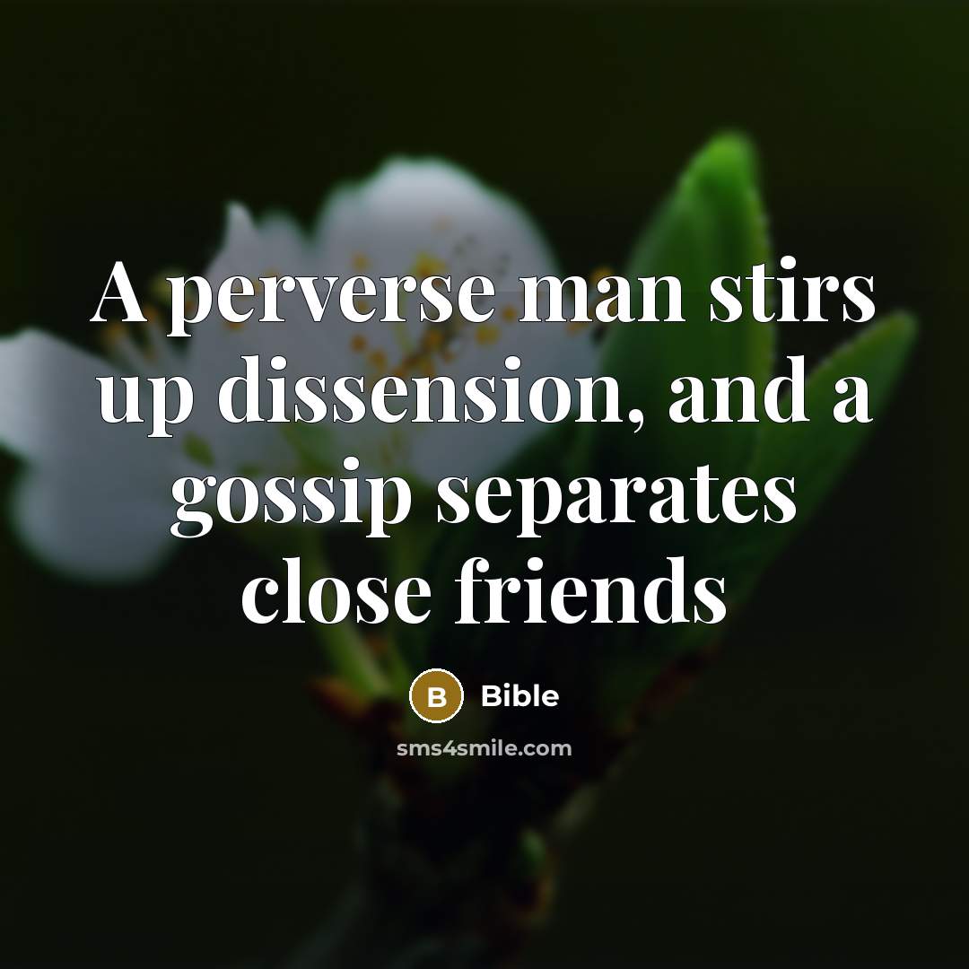 “A perverse man stirs up dissension, and a gossip separates…” quote by Bible