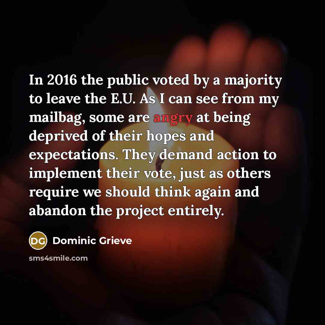 “In 2016 the public voted by a majority to leave…” quote by Dominic Grieve