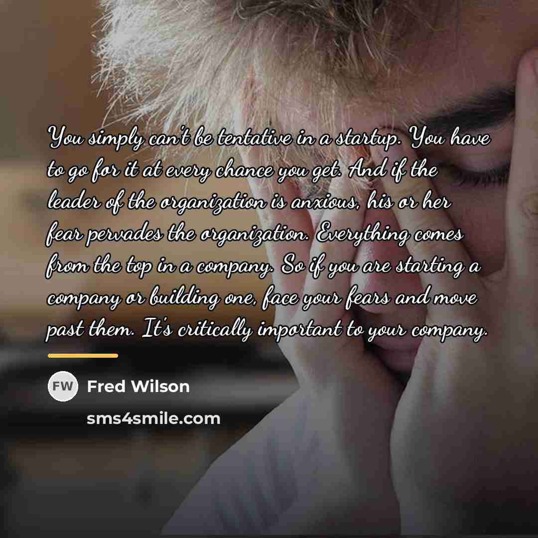 “You simply can't be tentative in a startup. You have…” quote by Fred Wilson