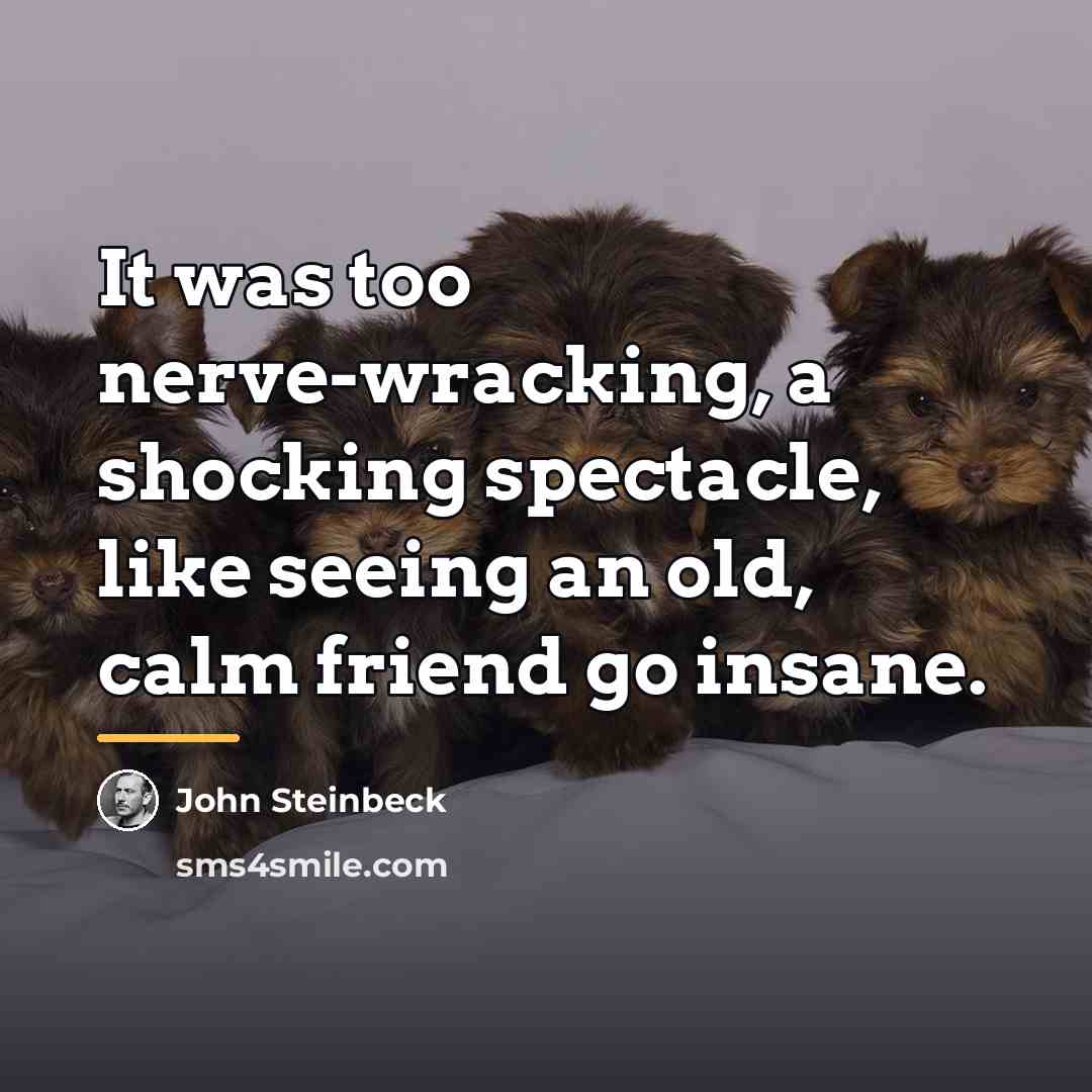 “It was too nerve-wracking, a shocking spectacle, like seeing an…” quote by John Steinbeck