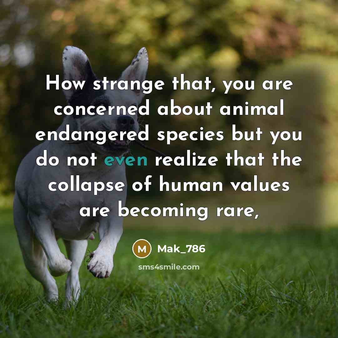 “How strange that, you are concerned about animal endangered species…” quote by Mak_786