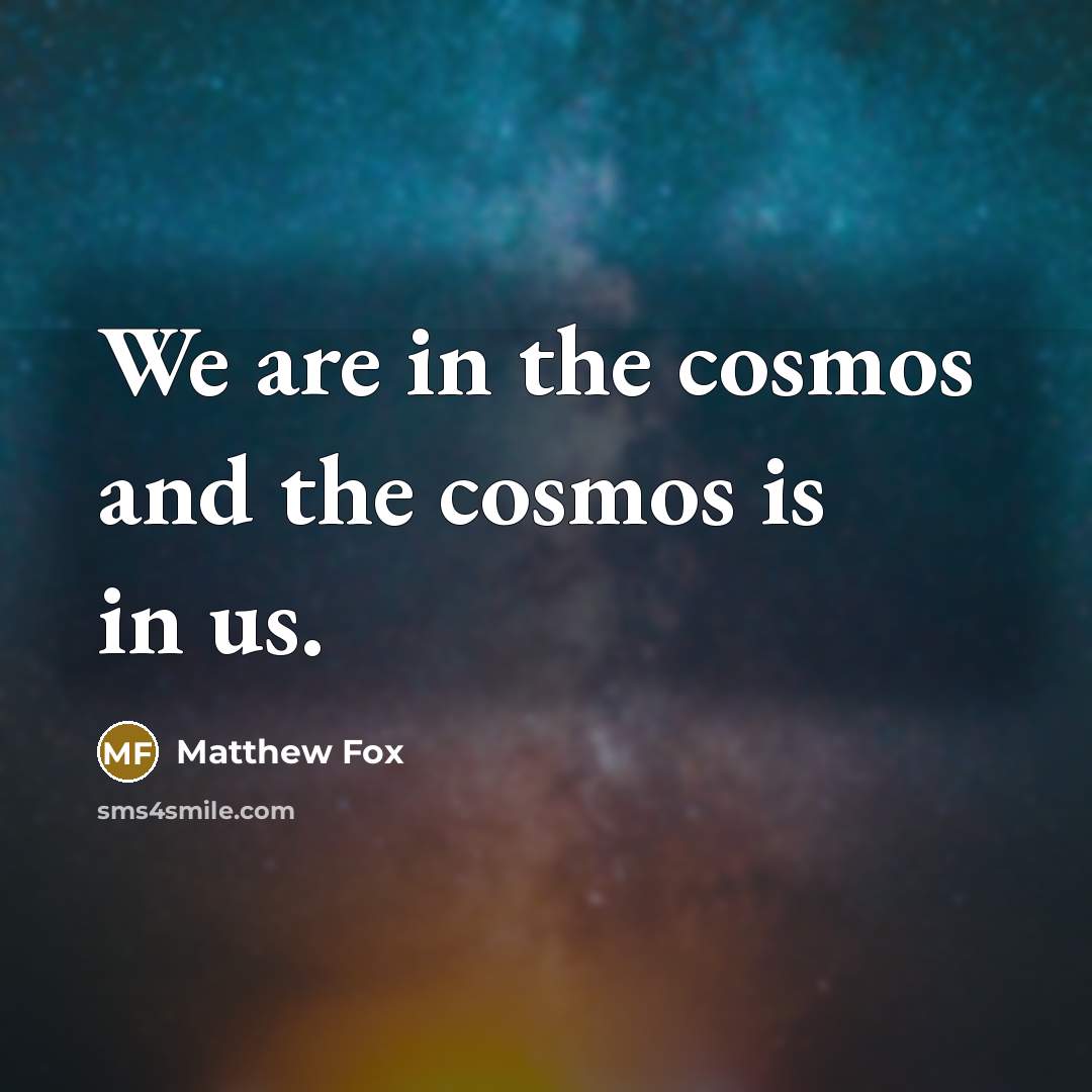 “We are in the cosmos and the cosmos is in…” quote by Matthew Fox