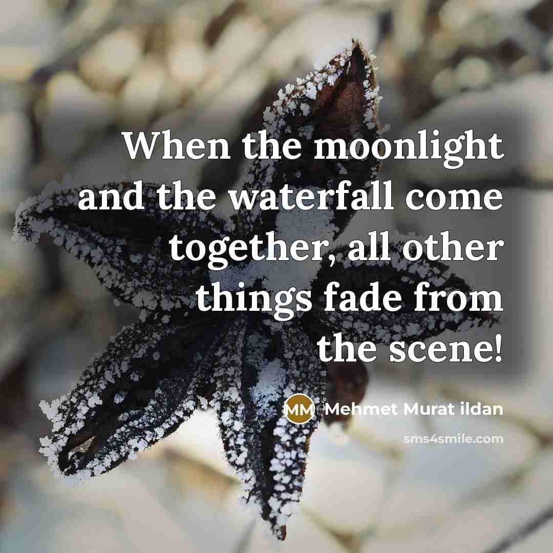 “When the moonlight and the waterfall come together, all other…” quote by Mehmet Murat Ildan