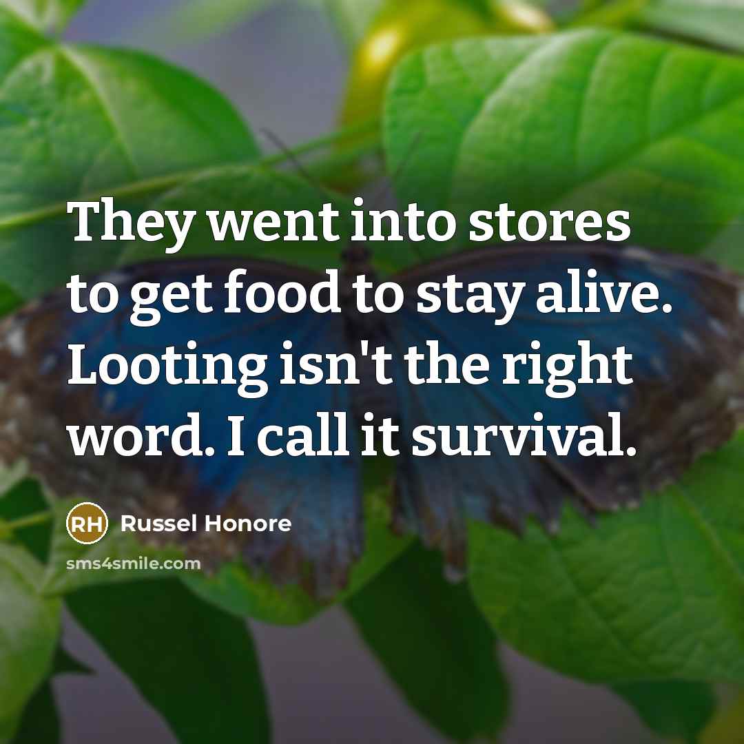 “They went into stores to get food to stay alive.…” quote by Russel Honore